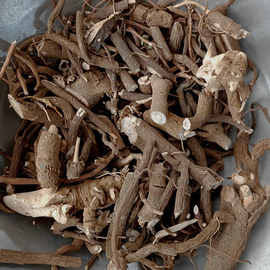 金龍藥材 中藥成藥的品質傳承與現代化發展