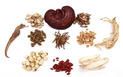 慧眼識真 六個小技巧助你輕松分辨中藥材與中成藥